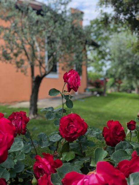 Il Giardino Delle Rose Spello